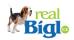 10226-Reality RealBigl - realitní vyhledávač